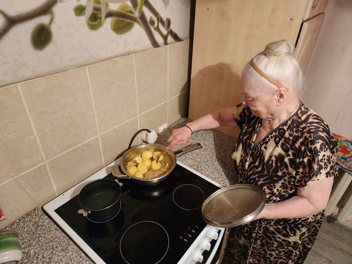 выездная администрация, обращение жителей, новая электроплита, отработка обращений, вертикалка,