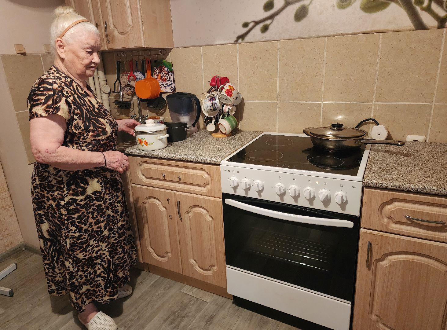 выездная администрация, обращение жителей, новая электроплита, отработка обращений, вертикалка,