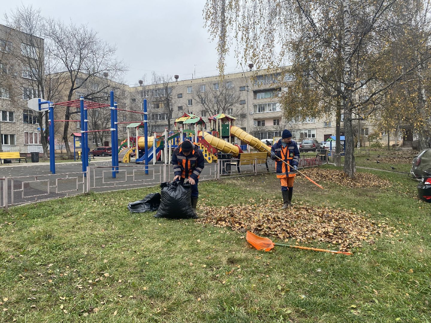 Листва, уборка двора, Уборка листьев, вертикалки,