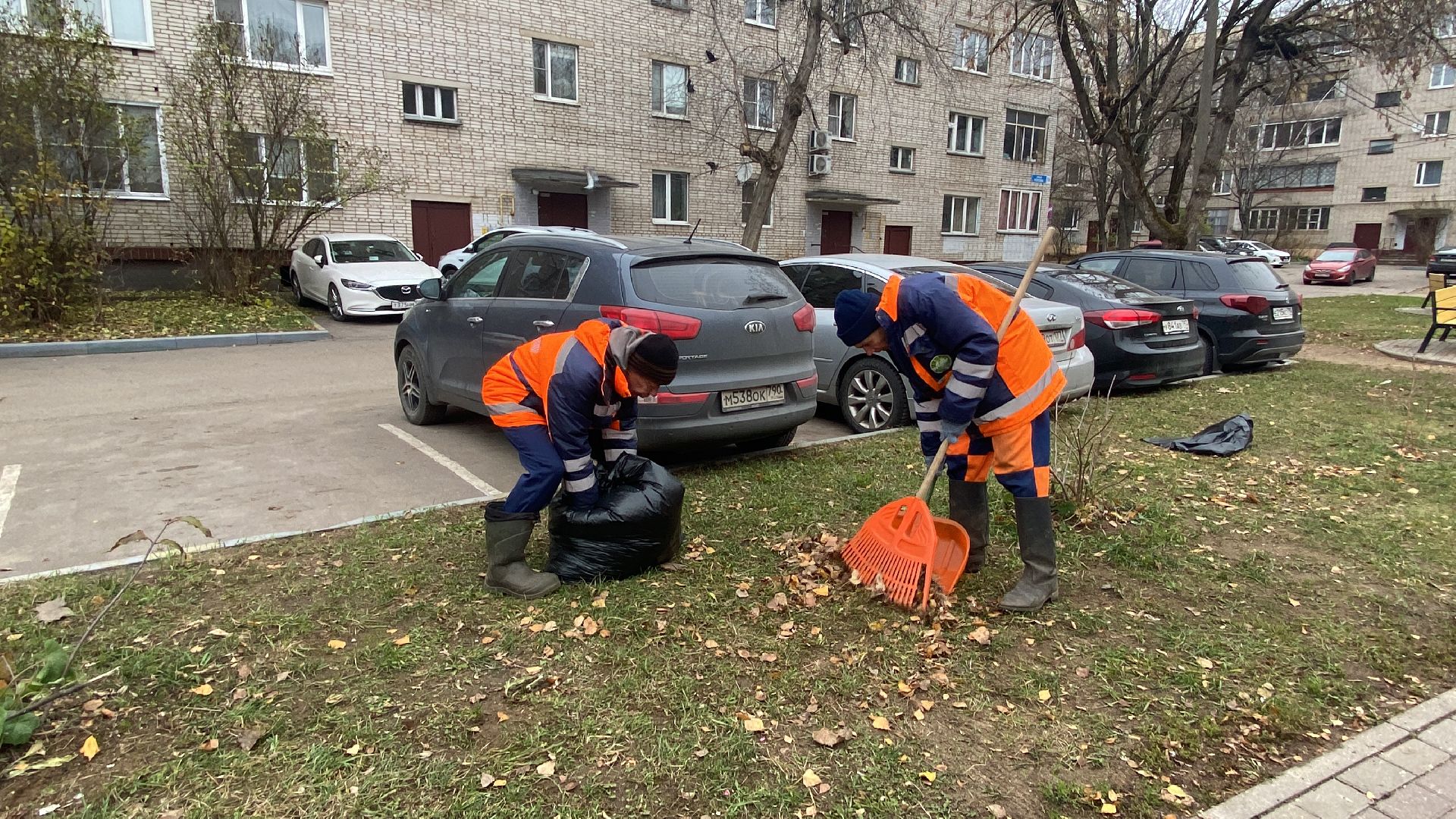 Листва, уборка двора, Уборка листьев, вертикалки,