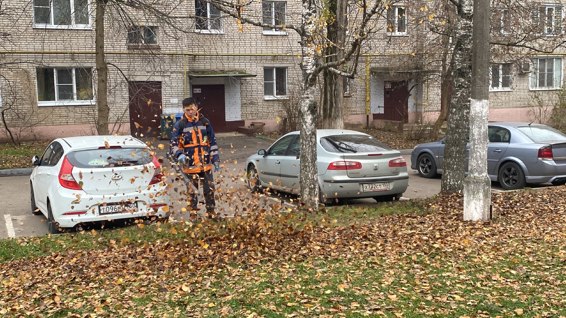 Листва, уборка двора, Уборка листьев, вертикалки,