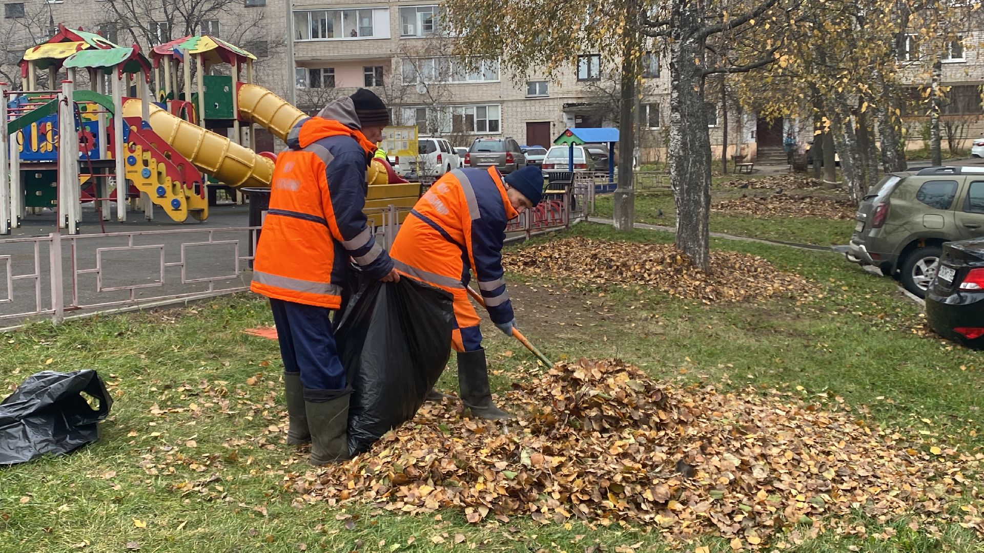 Листва, уборка двора, Уборка листьев, вертикалки,