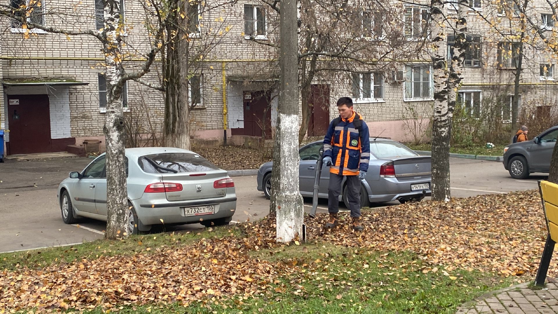 Листва, уборка двора, Уборка листьев, вертикалки,