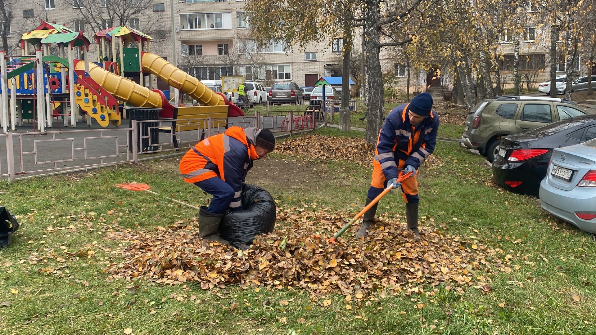 Листва, уборка двора, Уборка листьев, вертикалки,