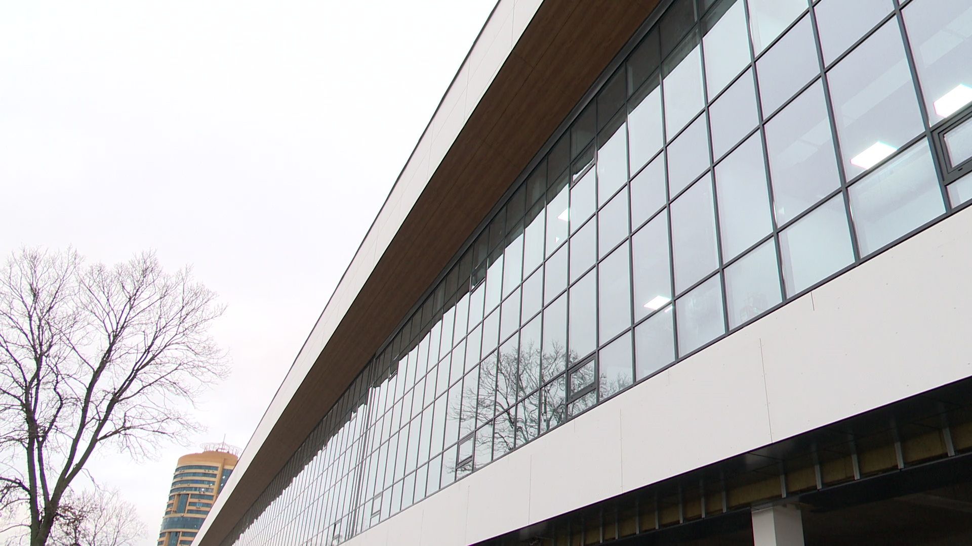 Реутов, вертикалки, ФОК, спорт, территория фитнеса, строительство, бассейн, гимнастика, волейбол,