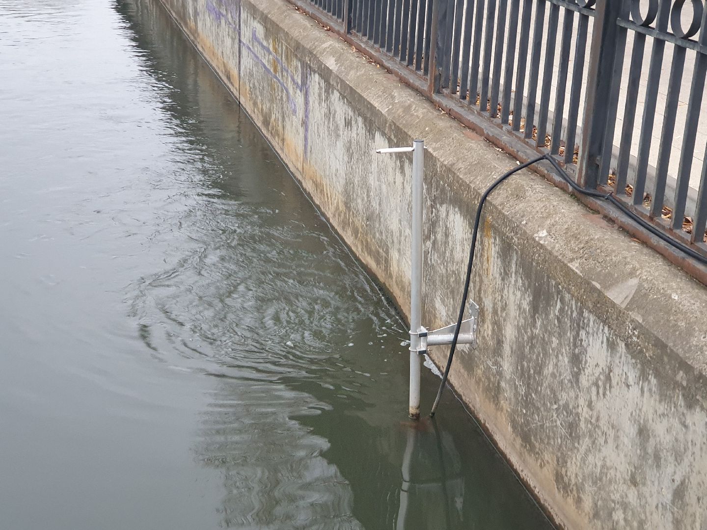 вертикалки, лебеди,