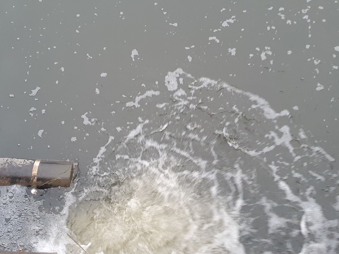 вертикалки, лебеди,