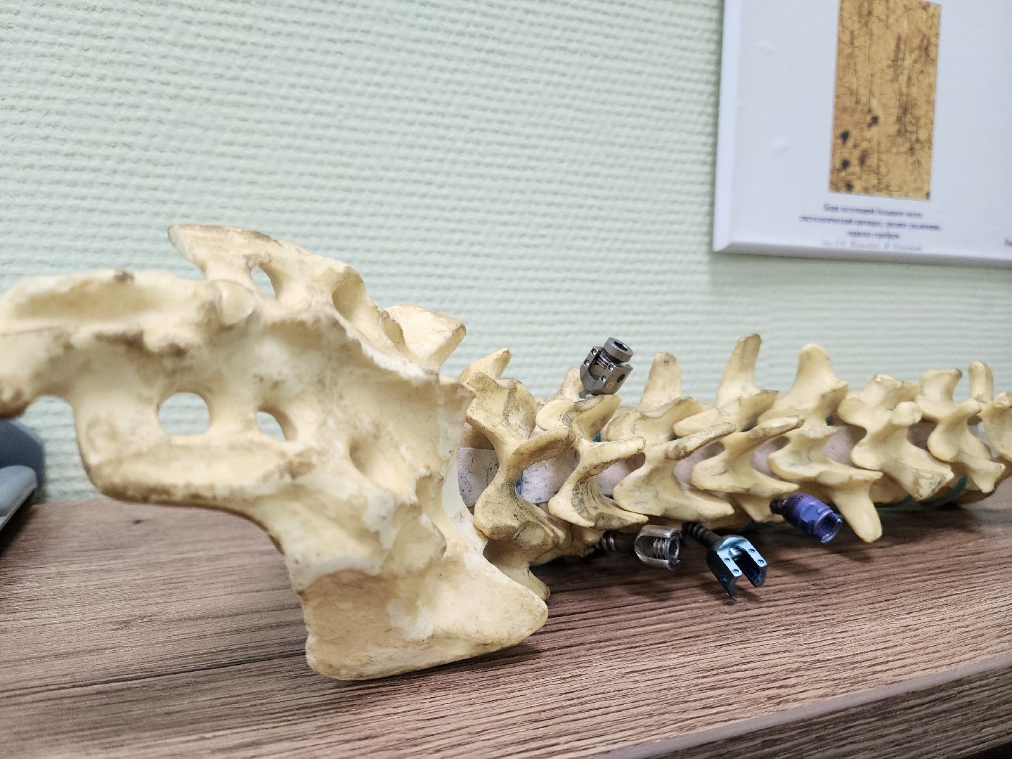 подольск, медицина, молодой специалист, нейрохирургия, подольская областная клиническая больница, покб,