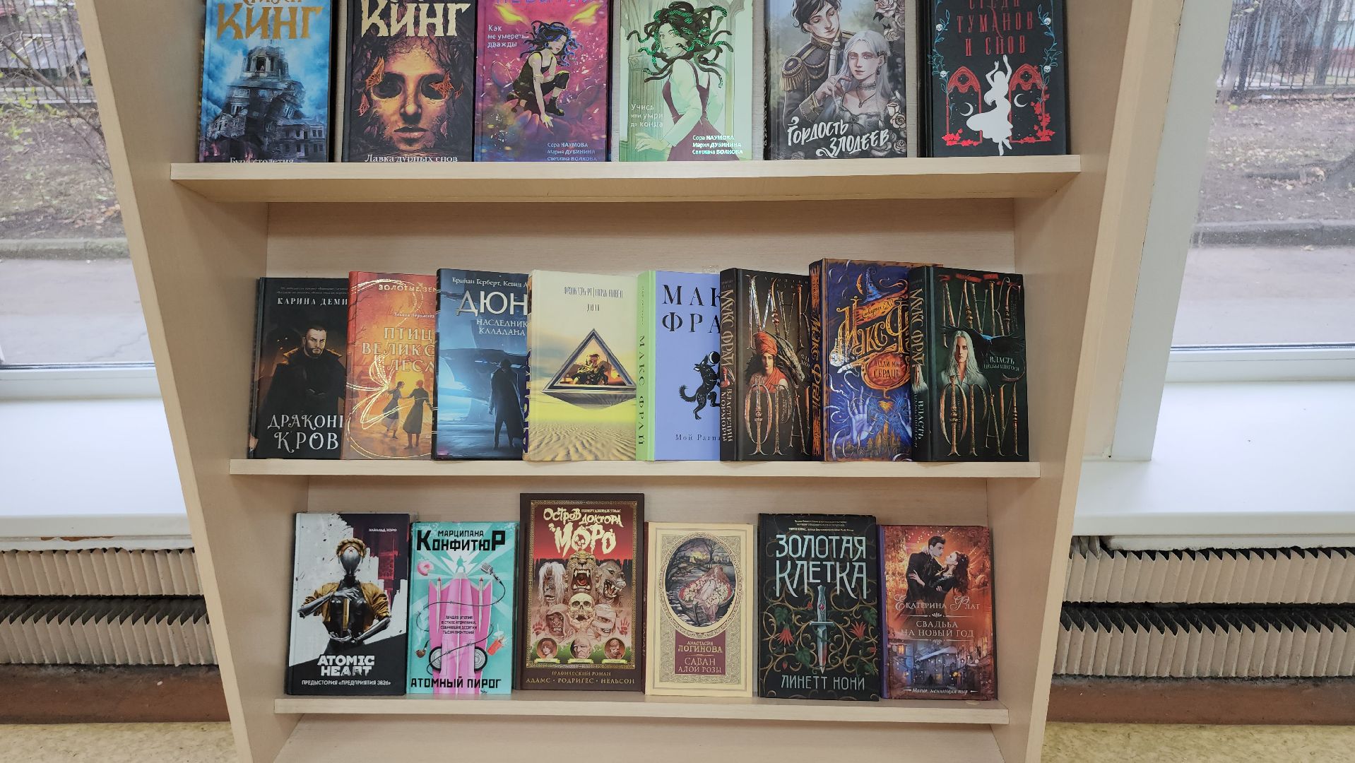 люберцы, центральная библиотека, читатели, национальный проект культура, вертикалки,