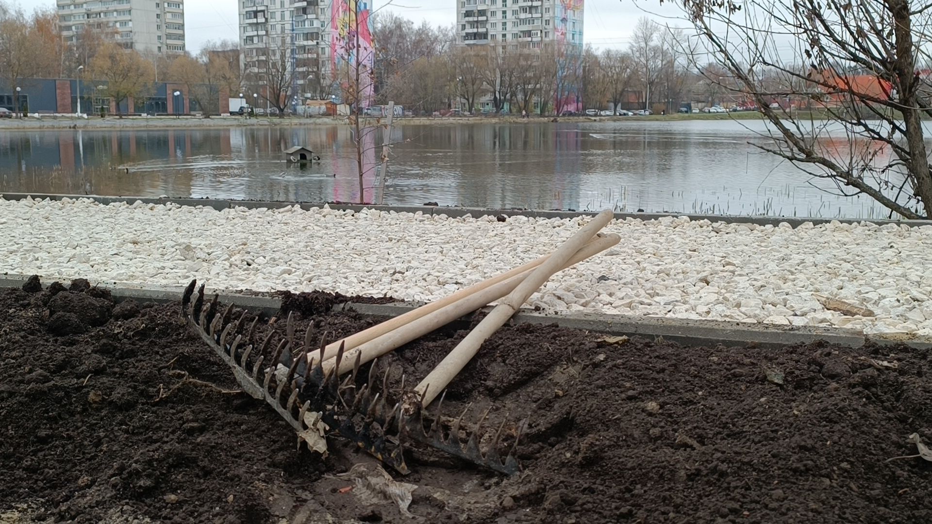 благоустройство, лобня, пешеходная дорожка,вертикалки,