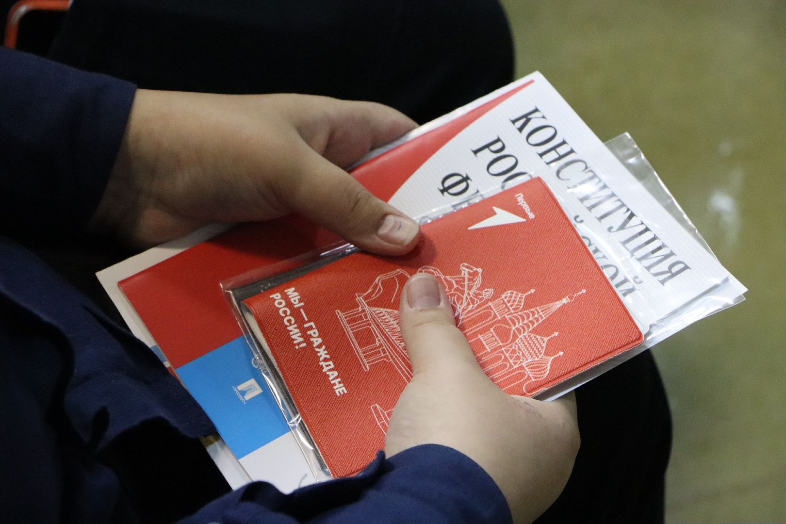 Серебряные Пруды, Даижение Первых, вручение паспортов, юные граждане РФ, школа чуйкова, вертикалки,