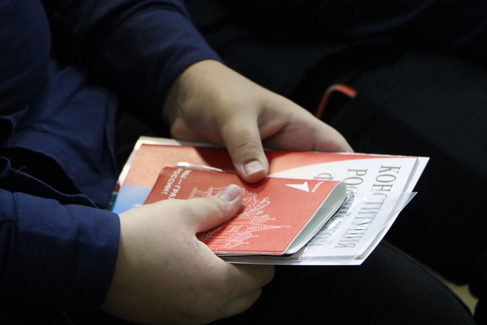 Серебряные Пруды, Даижение Первых, вручение паспортов, юные граждане РФ, школа чуйкова, вертикалки,