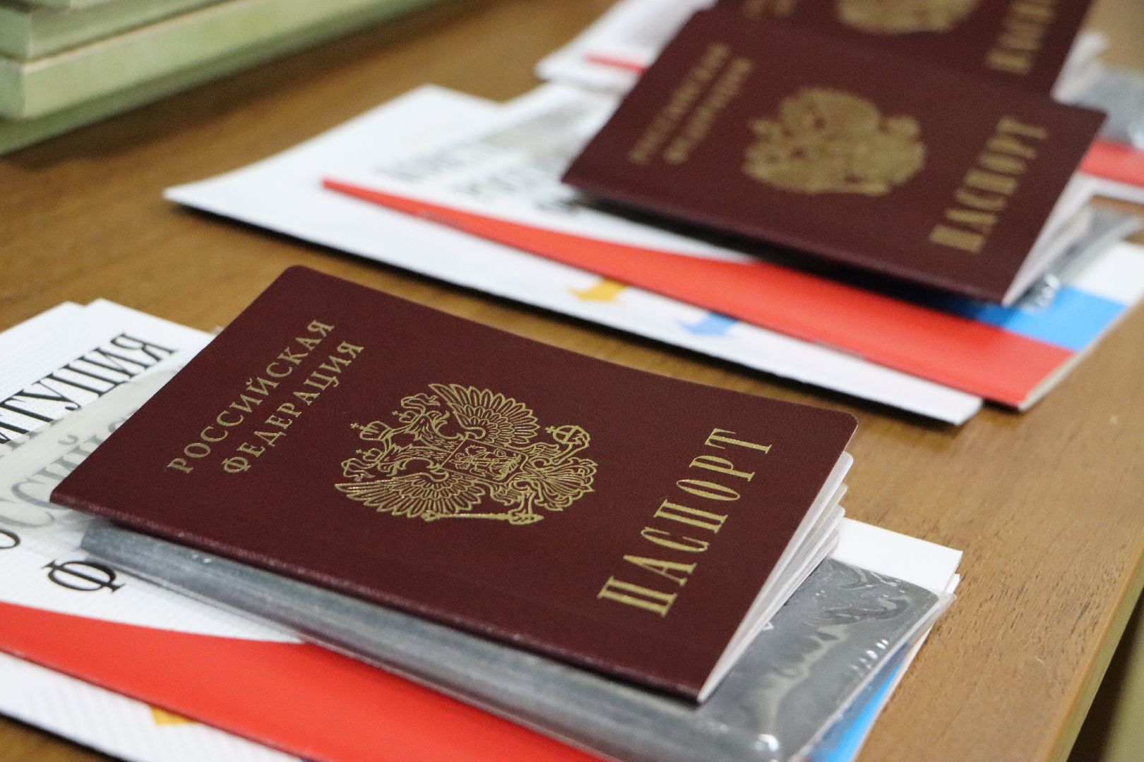 Серебряные Пруды, Даижение Первых, вручение паспортов, юные граждане РФ, школа чуйкова, вертикалки,