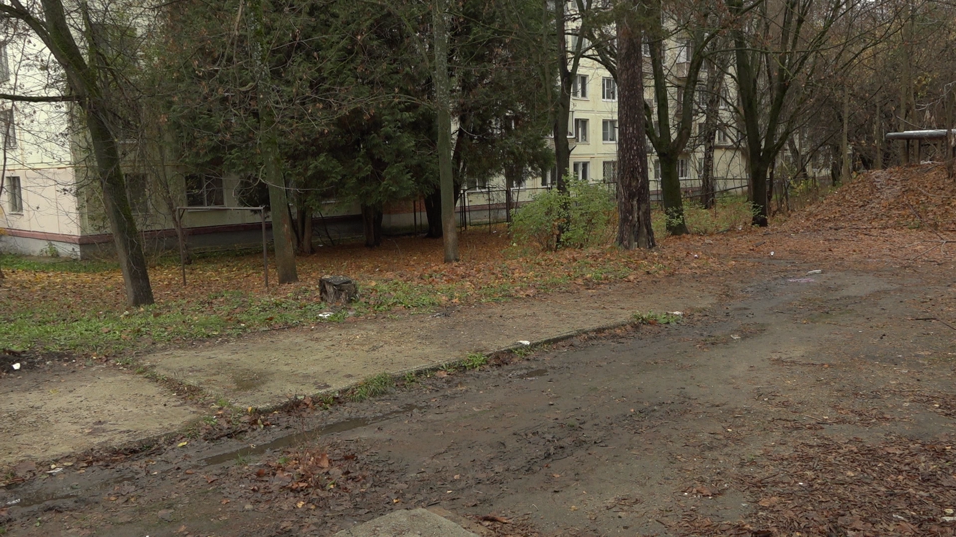 благоустройство территории, комплексное благоустройство, обход территории власиха, власиха цветной бульвар, детская площадка власиха,вертикалка, вертикальное видео,