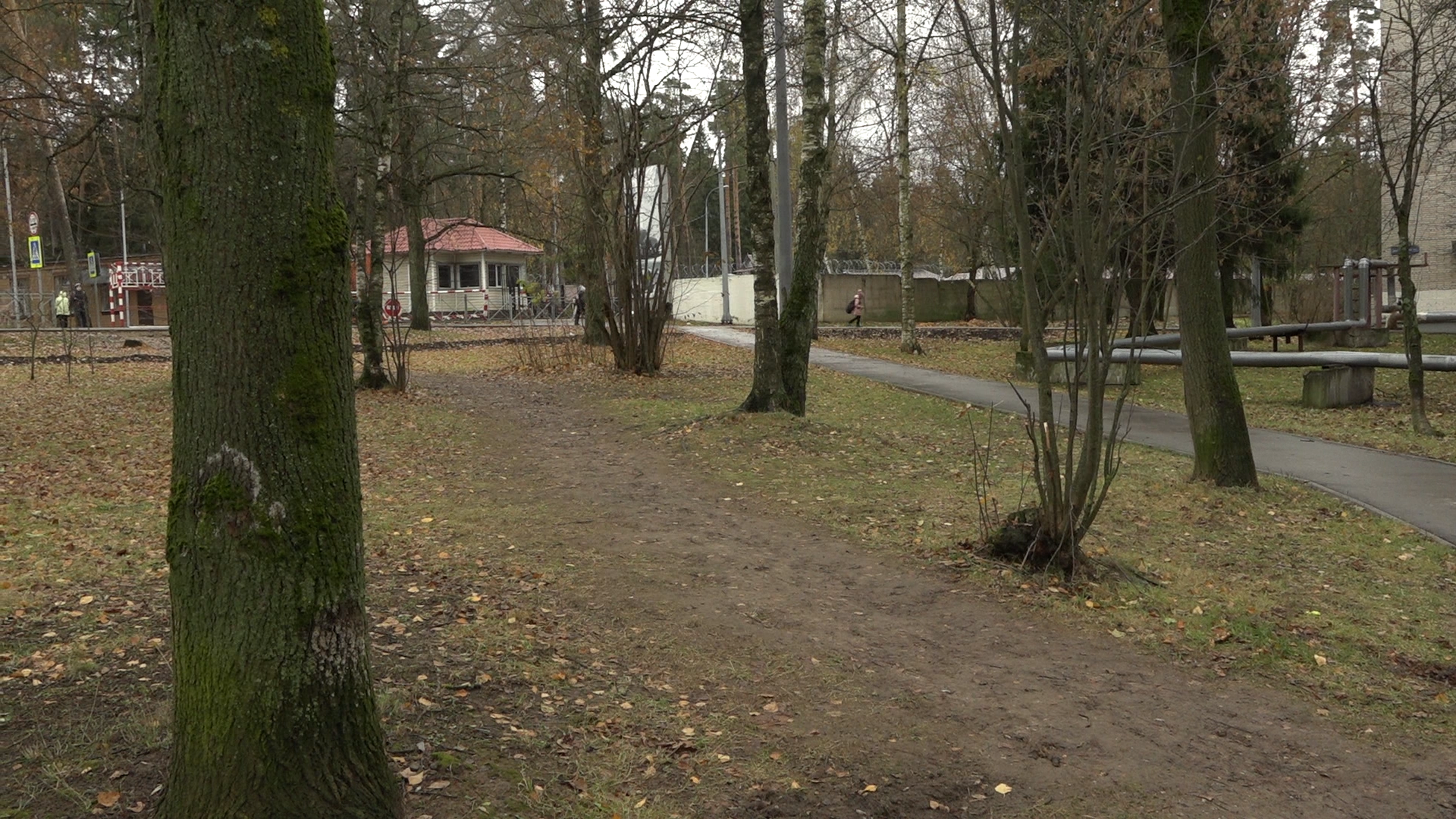 благоустройство территории, комплексное благоустройство, обход территории власиха, власиха цветной бульвар, детская площадка власиха,вертикалка, вертикальное видео,