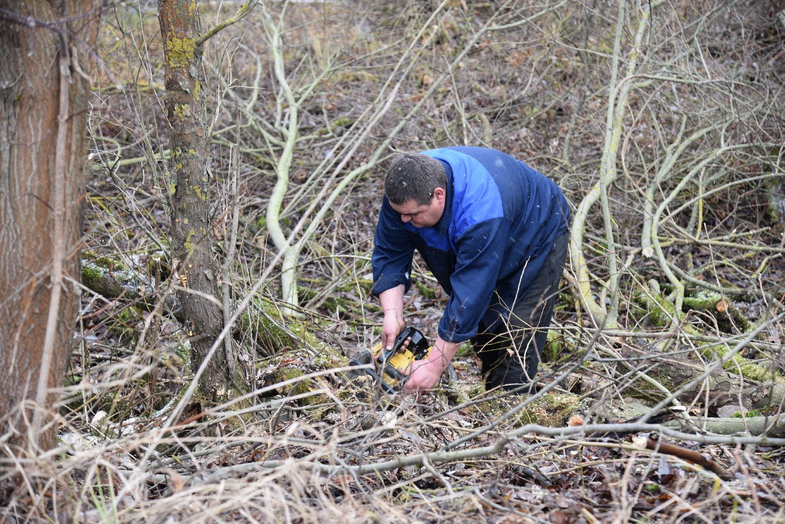 лотошино, калицино, населенный пункт воинской доблести, благоустройство, стела, вертикалки,