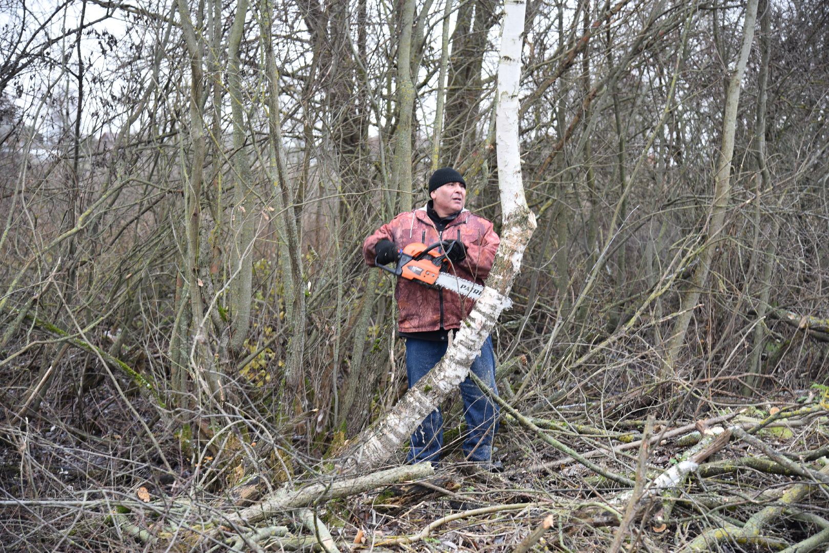 лотошино, калицино, населенный пункт воинской доблести, благоустройство, стела, вертикалки,