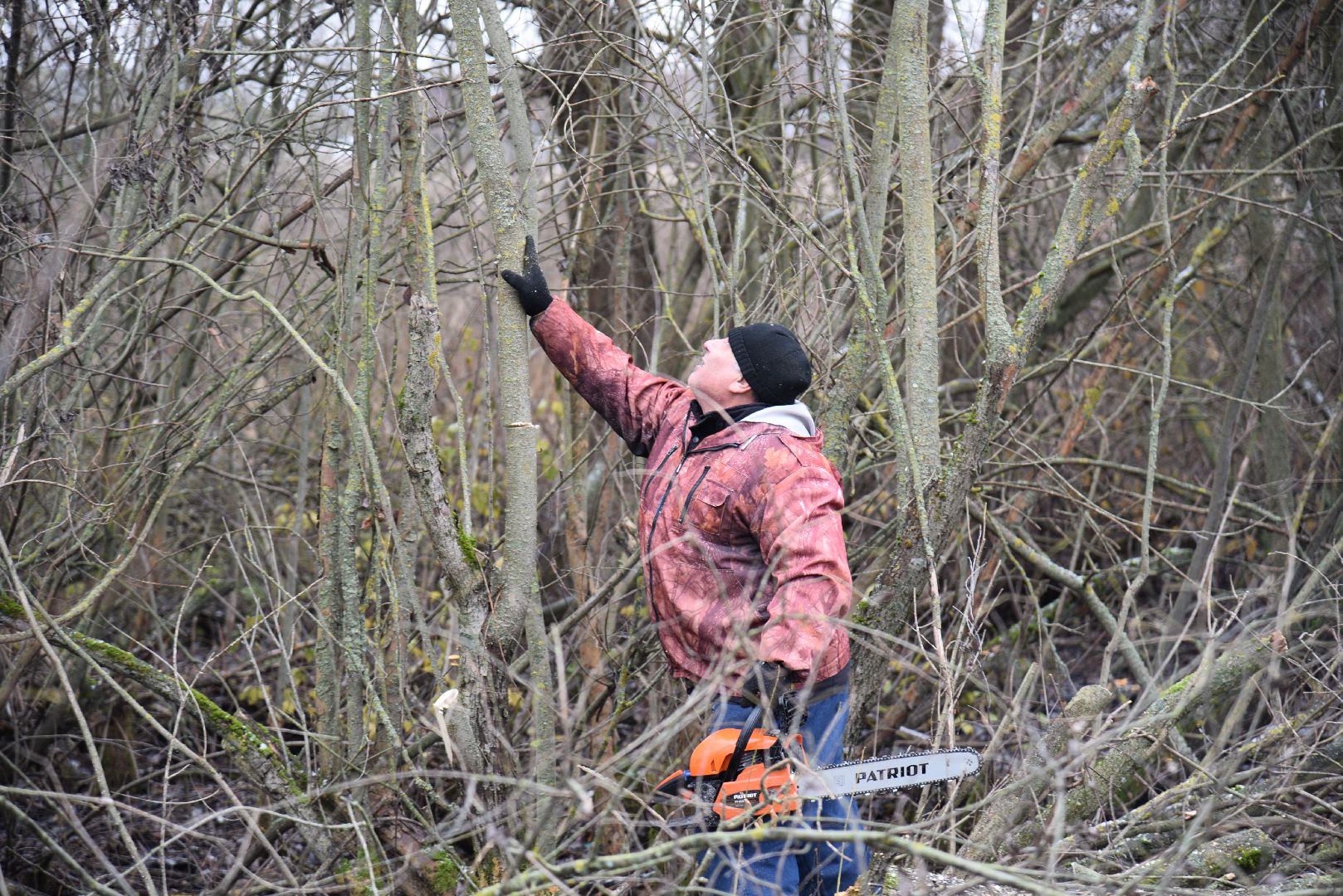 лотошино, калицино, населенный пункт воинской доблести, благоустройство, стела, вертикалки,