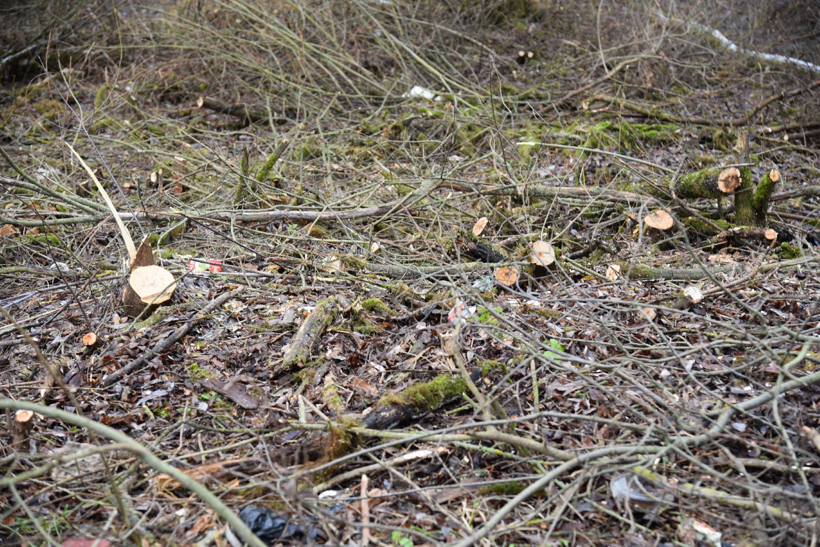 лотошино, калицино, населенный пункт воинской доблести, благоустройство, стела, вертикалки,