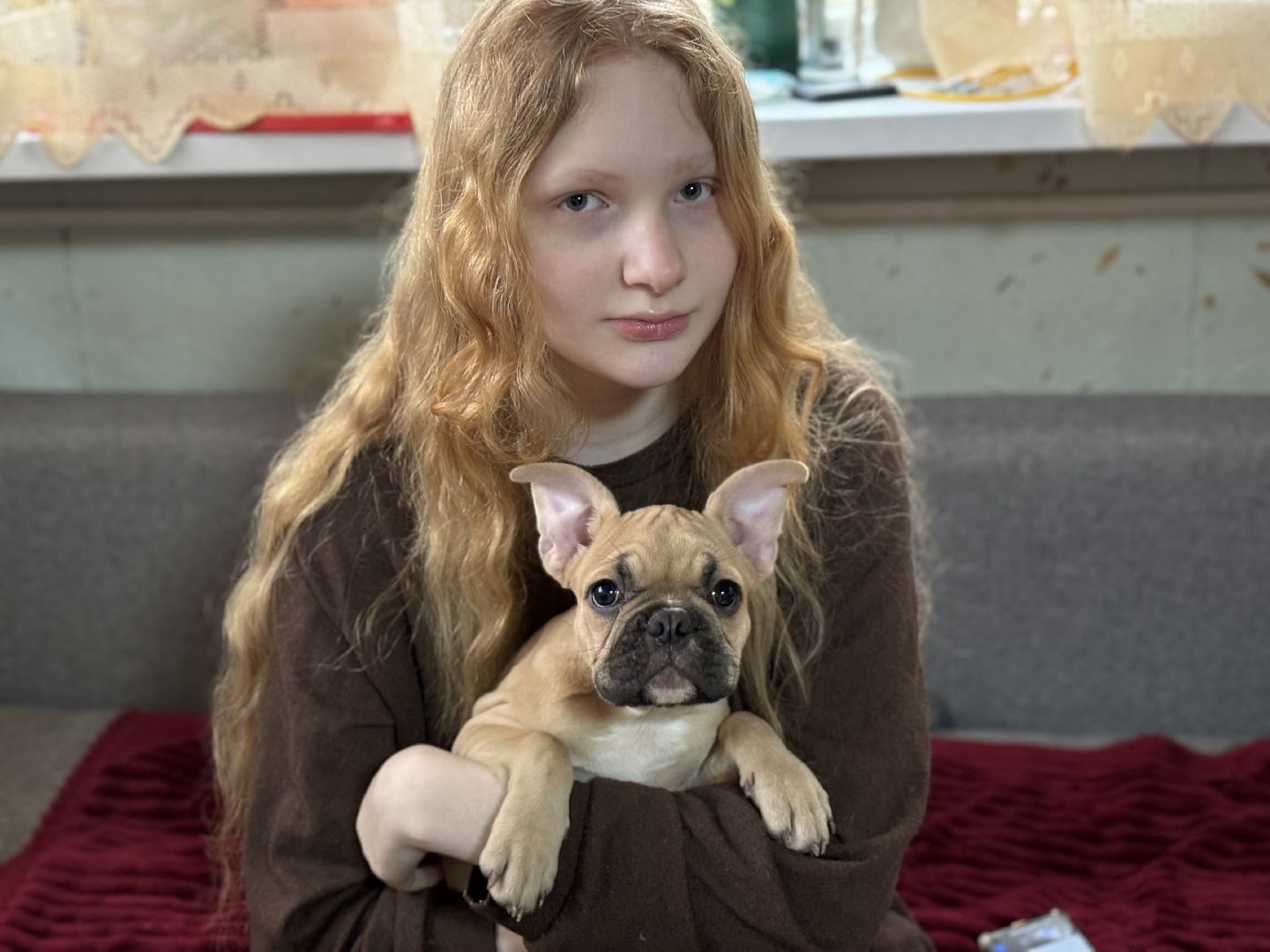 Подарок от президента, Школьница из Видного, Щенок французского бульдога, глава муниципалитета,