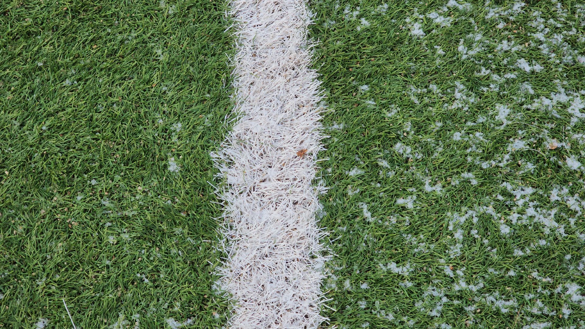 красногорск, стадион зоркий, заливка льда, спорт,