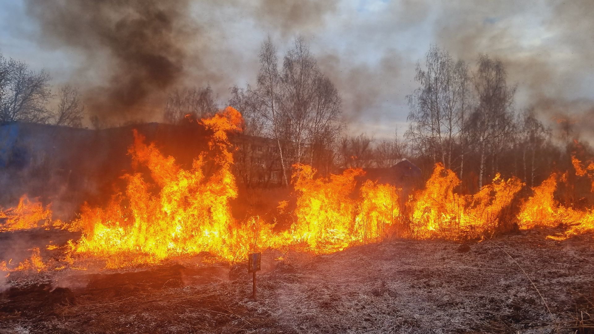 Подмосковье, Иванттеевка, МЧС