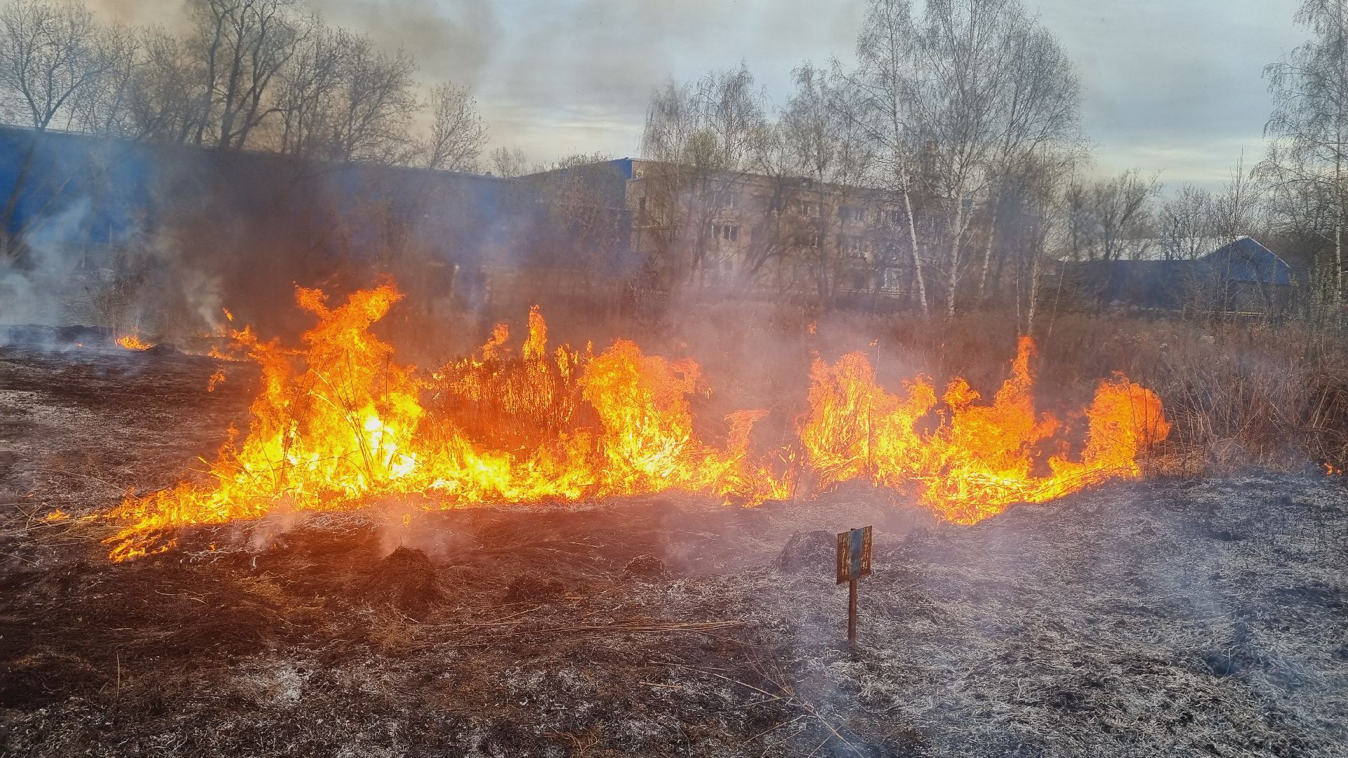 Подмосковье, Иванттеевка, МЧС