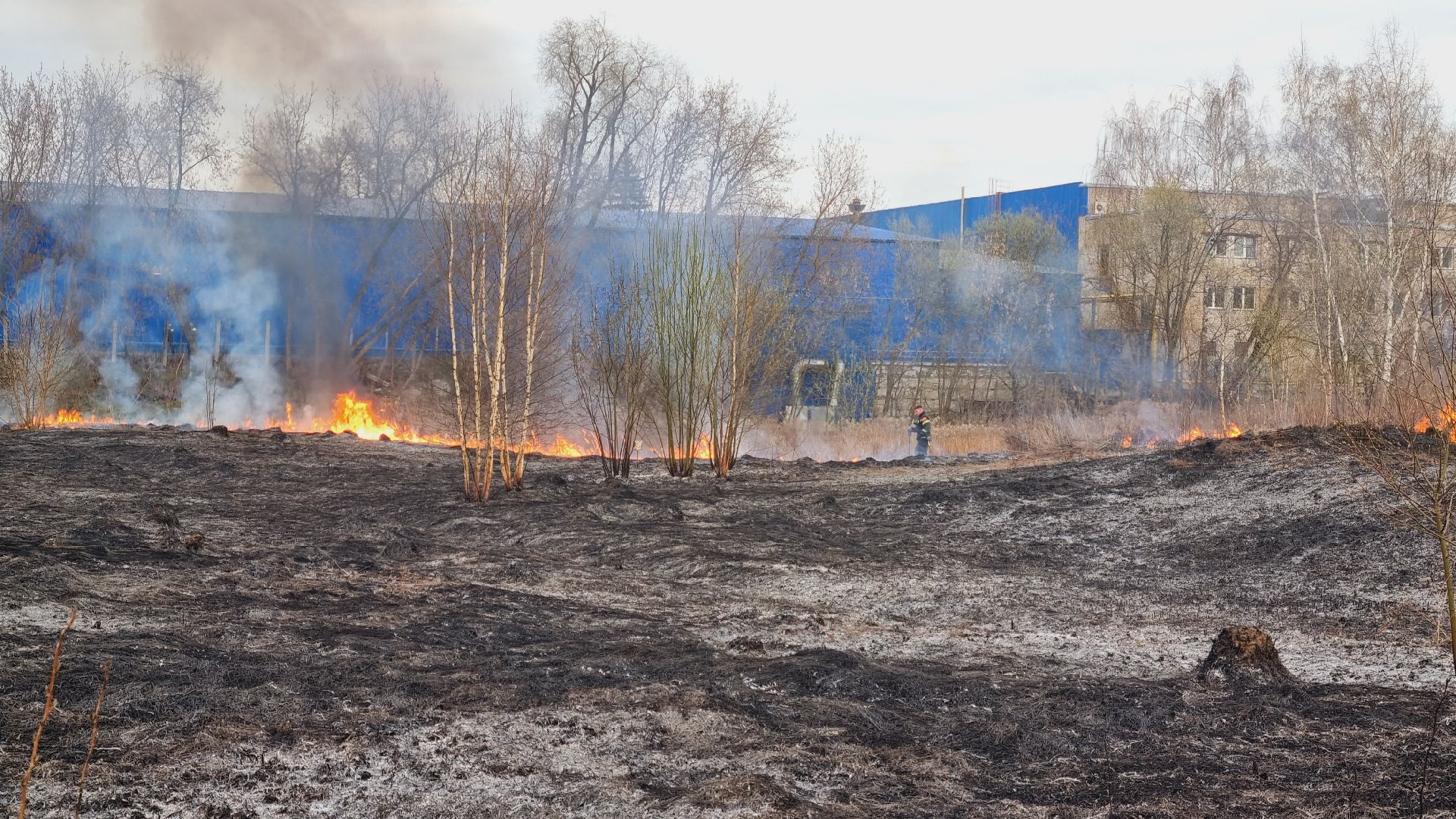 Подмосковье, Иванттеевка, МЧС