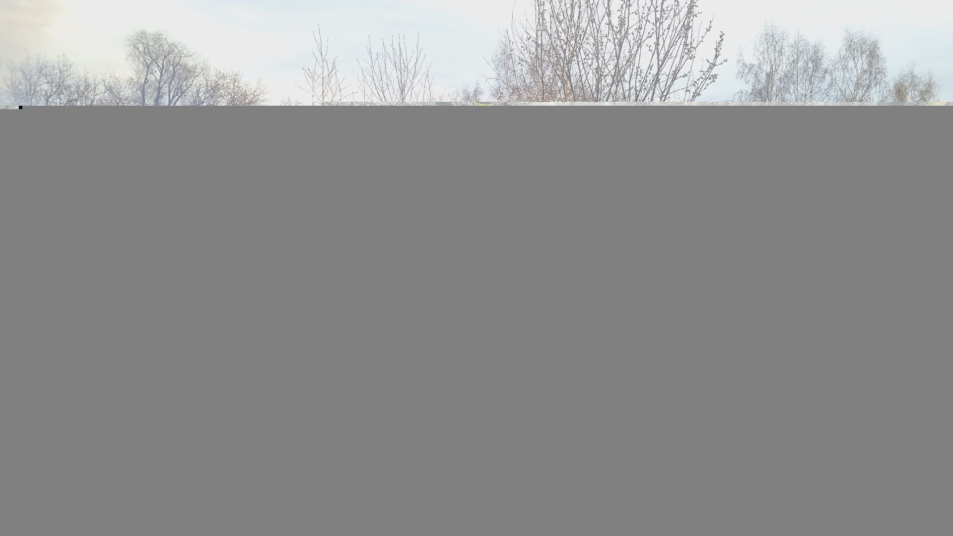 Подмосковье, Иванттеевка, МЧС