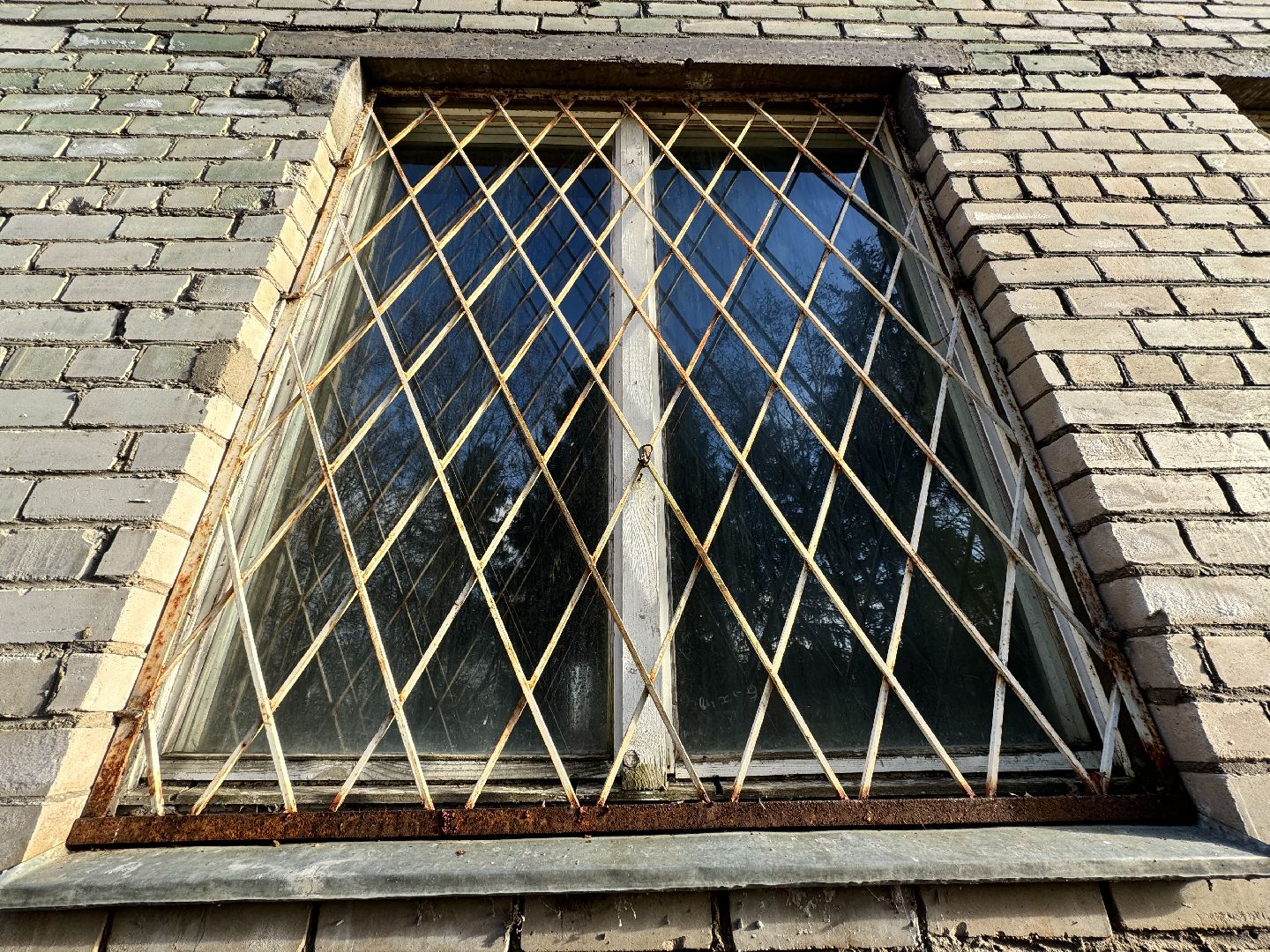 шаховская, бизнес, предприятие, общежитие для работников, вертикалки,