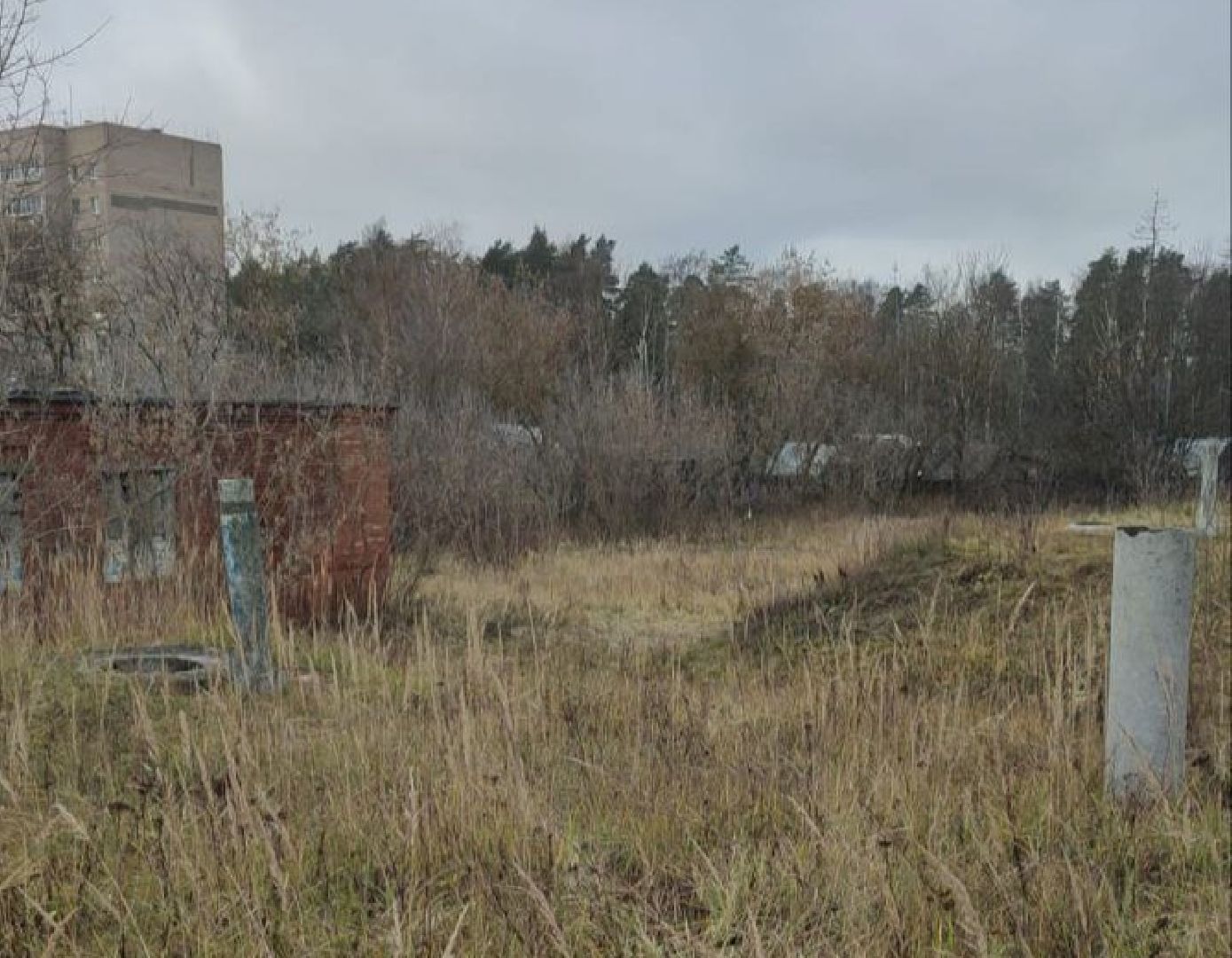 ногинск, жители, общество, власть, ямкино, выездная администрация, глава округа,
