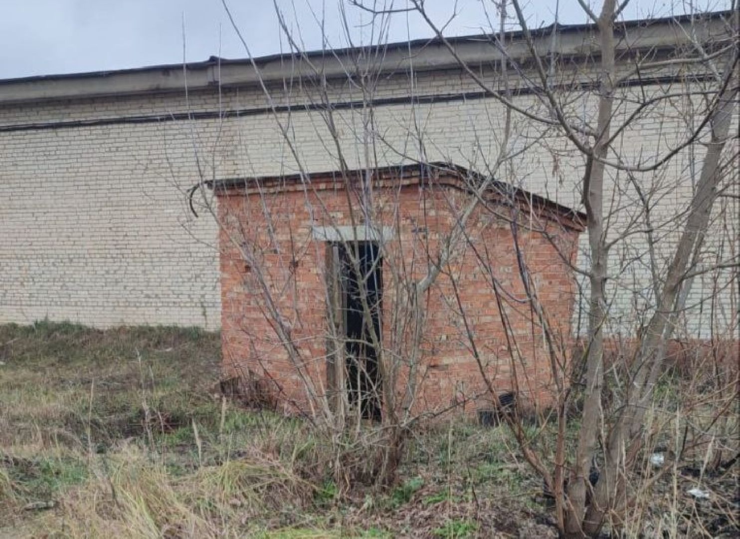 ногинск, жители, общество, власть, ямкино, выездная администрация, глава округа,