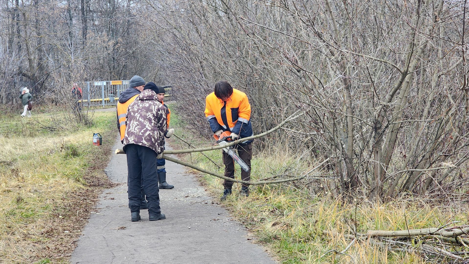 благоустройство, служба благоустройства, Рошаль, Шатура, вертикалки