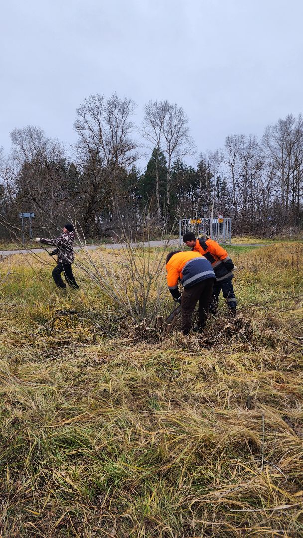 благоустройство, служба благоустройства, Рошаль, Шатура, вертикалки