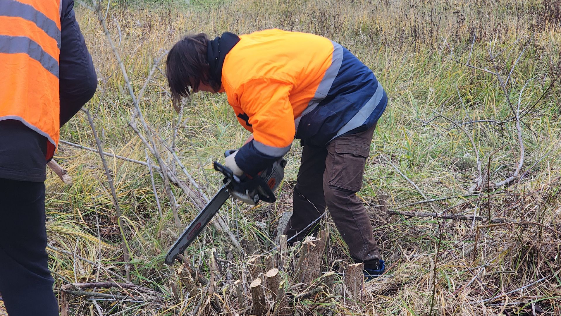 благоустройство, служба благоустройства, Рошаль, Шатура, вертикалки
