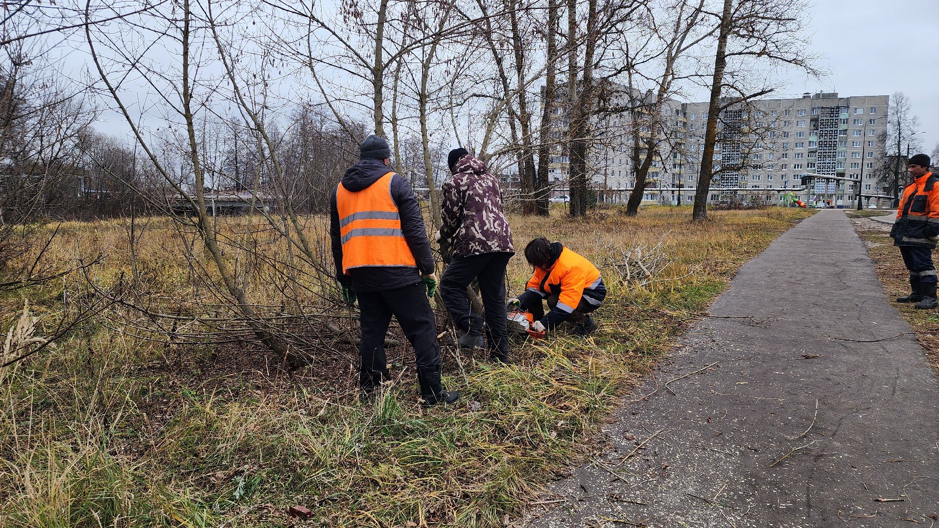 благоустройство, служба благоустройства, Рошаль, Шатура, вертикалки