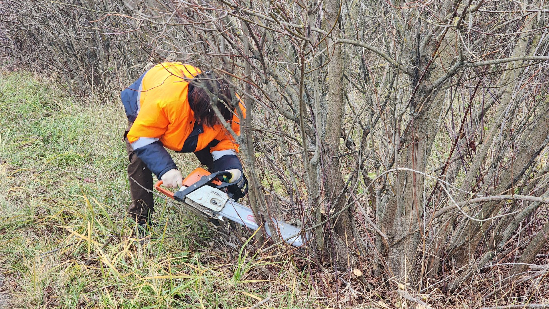 благоустройство, служба благоустройства, Рошаль, Шатура, вертикалки