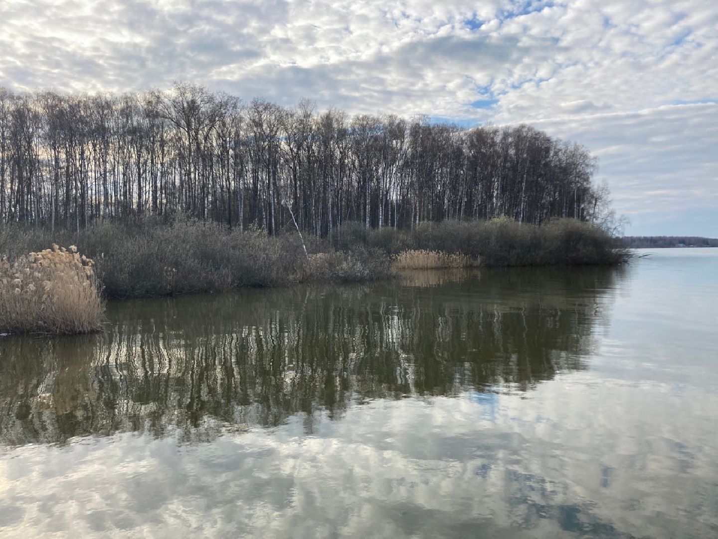 Солнечногорск, озеро, Сенеж, набережная, весна