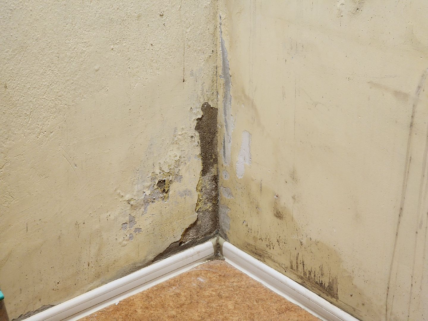 подольск, библиотека, Управляющая компания, прорыв трубы, Книги,