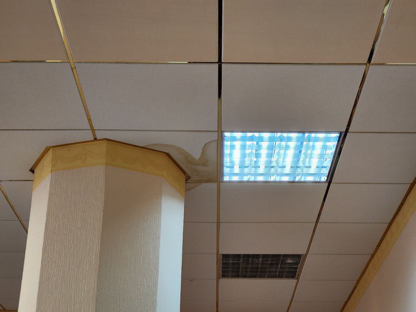 подольск, библиотека, Управляющая компания, прорыв трубы, Книги,