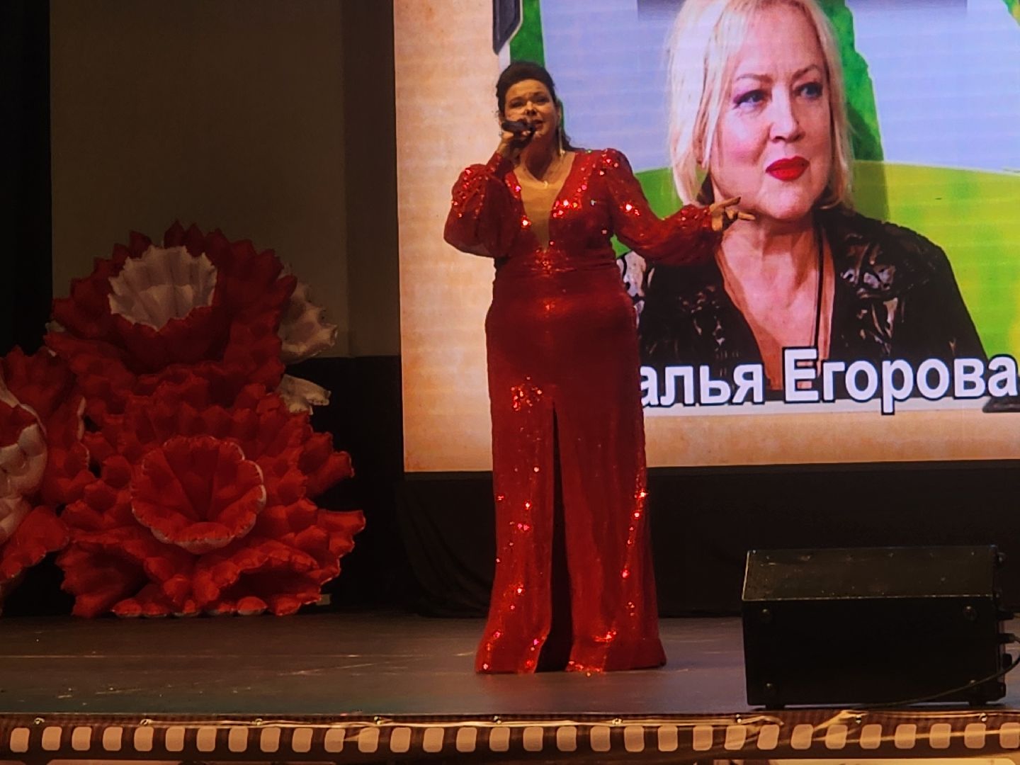 волоколамск, кинофестиваль, Волоколамский рубеж, культура, вертикалки,