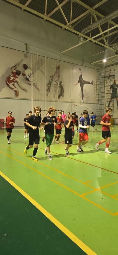 красноармейск, городской округ пушкинский, производство, спорт, спортивная форма, вертикалки,