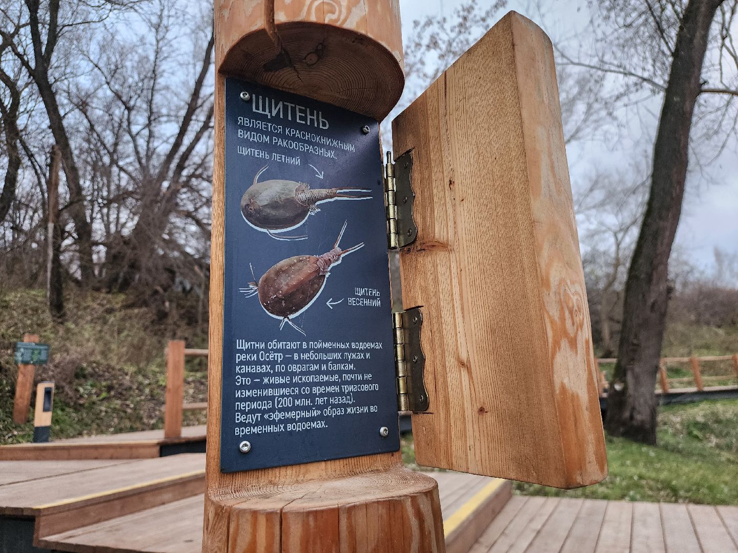 Зарайск, туризм, достопримечательности,