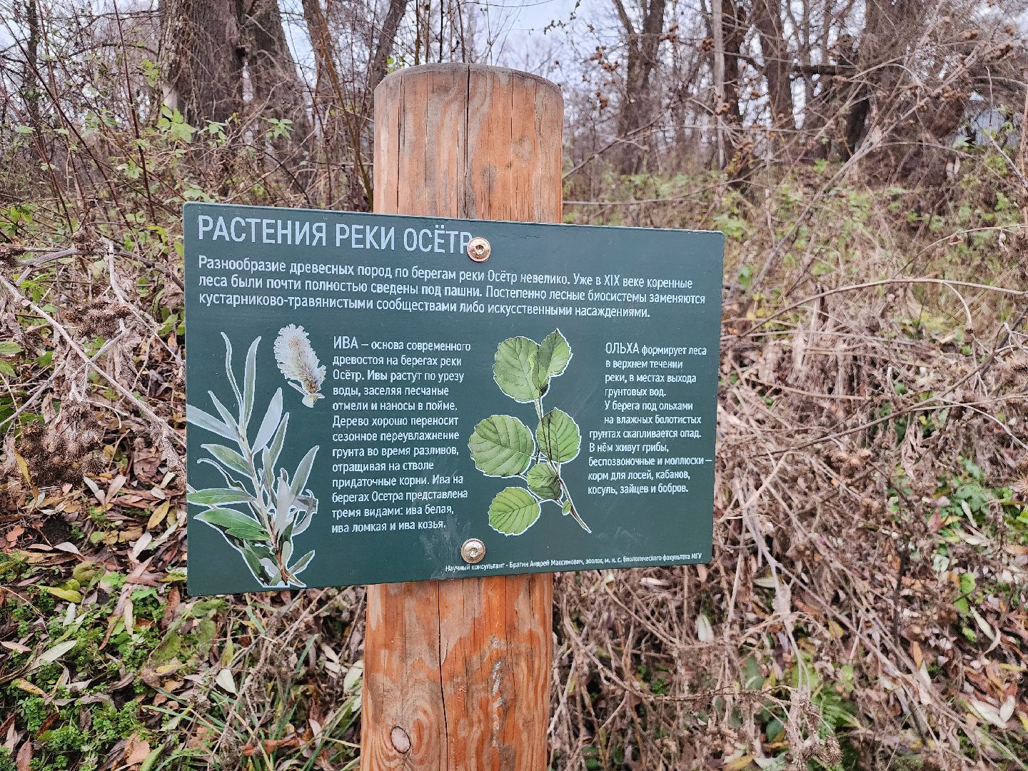 Зарайск, туризм, достопримечательности,