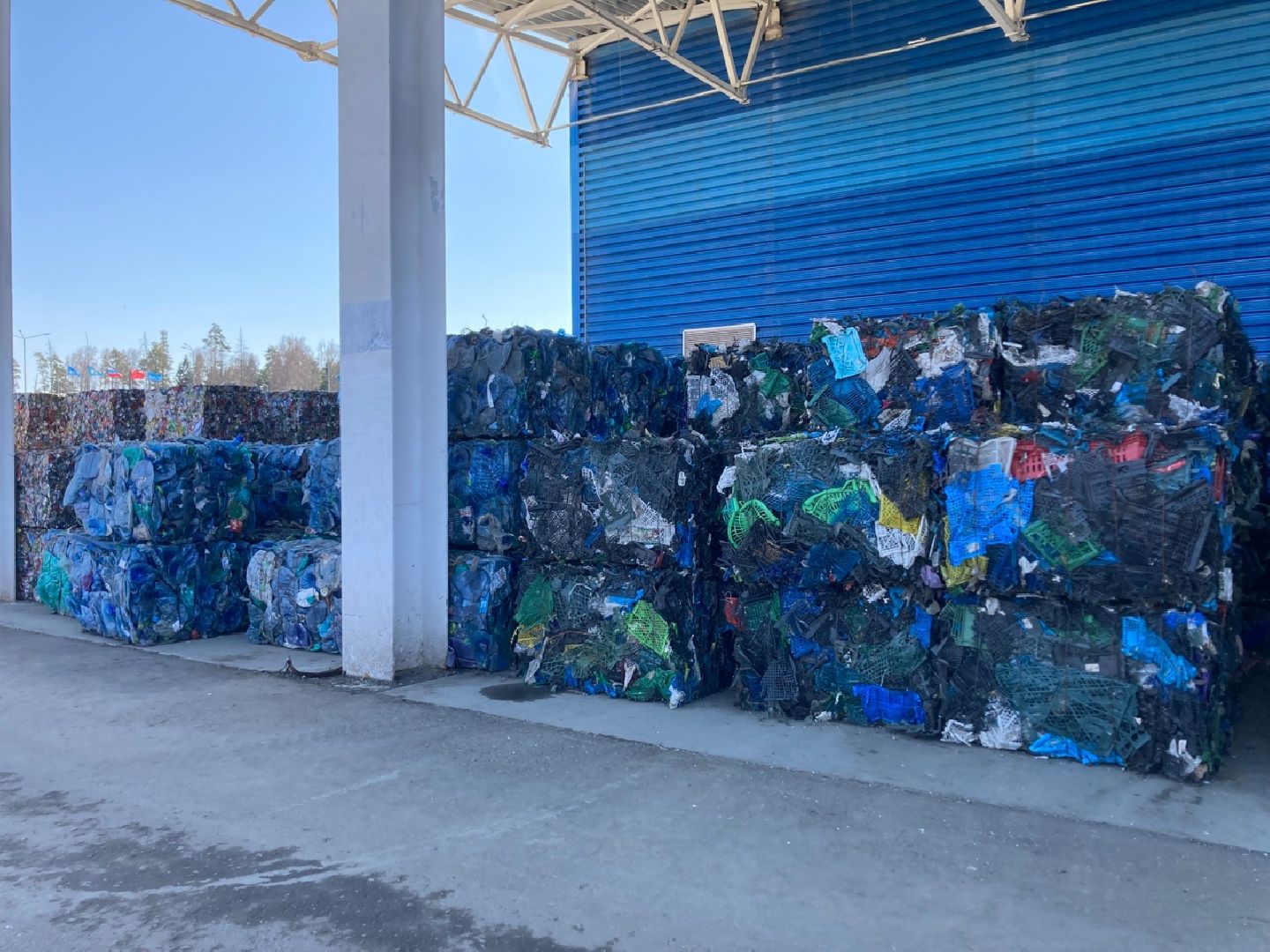 Солнечногорск, экология, мусор, полигон, переработка