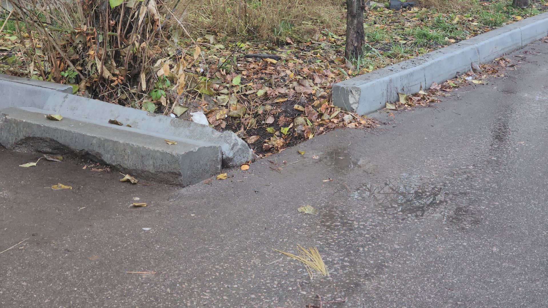Павловский Посад, Городской округ Павловский Посад, Двор, Проблема, Жители, Вертикалка, вертикальное видео,