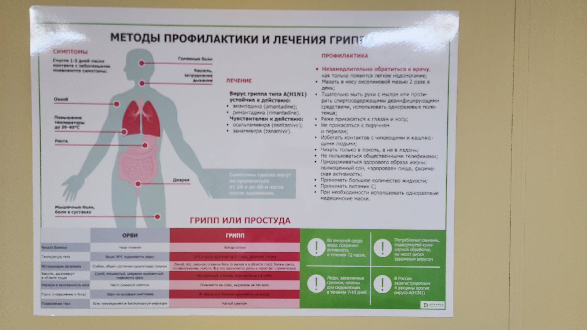 Звенигород, Саввинская Слобода, Здравоохранение, медицина, Вертикалка, вертикальное видео