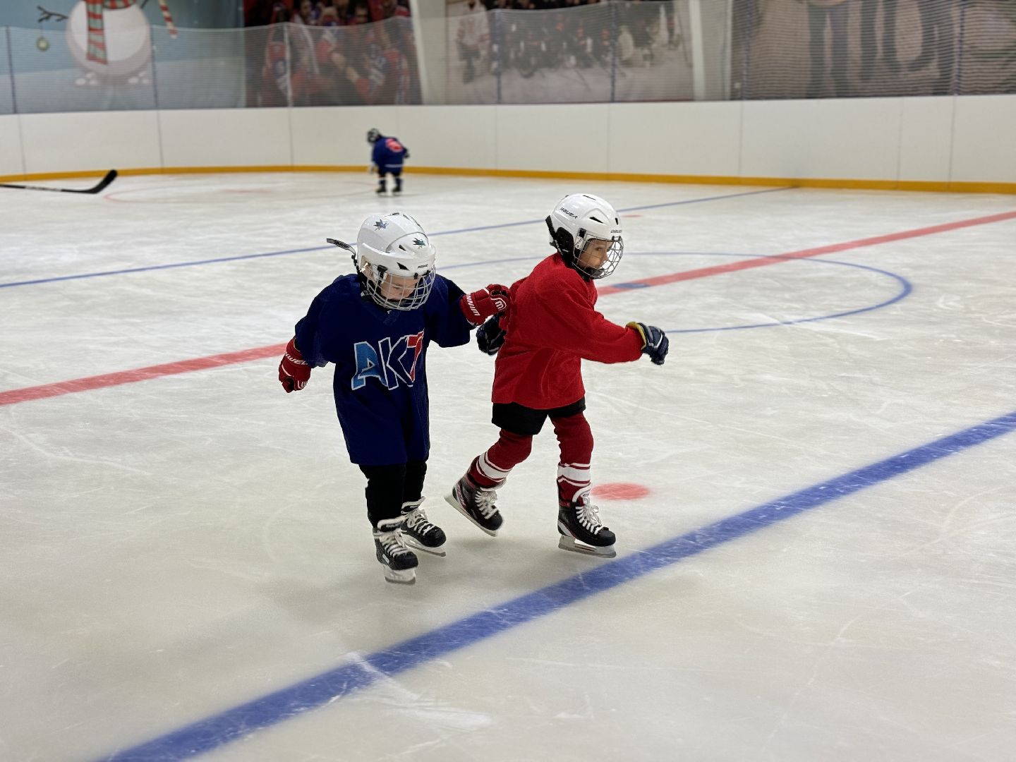 Хоккейная академия, Хоккей для детей, Академия имени Касатонова, Алексей Касатонов, Федерация хоккея России, Красная машина, Село Молоково,