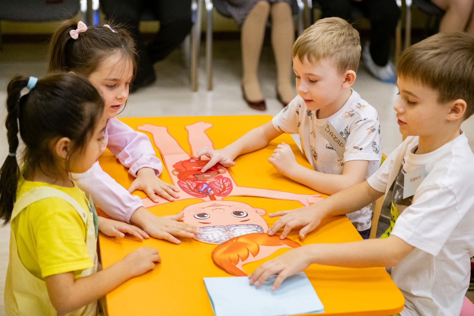 воспитатель года, лыткарино, образование, любовь к детям, вертикалка,