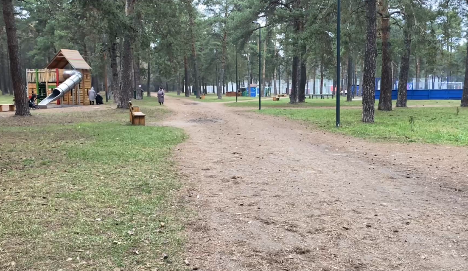 котельники, выездная администрация, благоустройство, лесопарк,